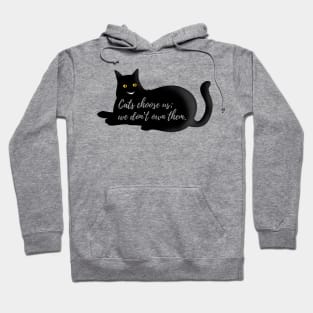 Cats choose Hoodie